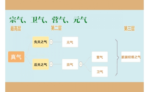 中醫(yī)里的“宗氣”、“衛(wèi)氣”、“營氣”、“元氣”